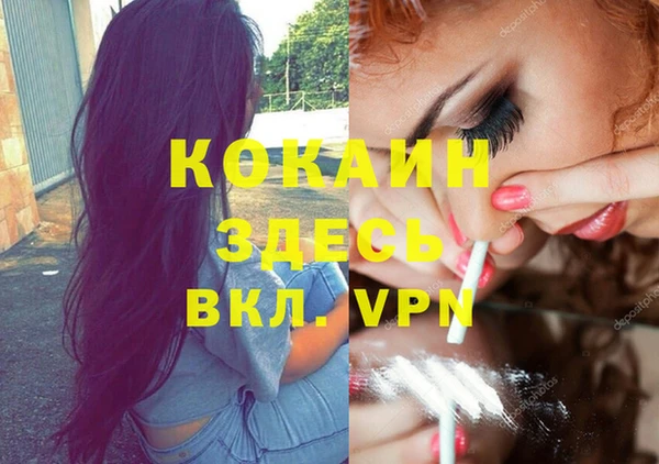 твердый Алзамай