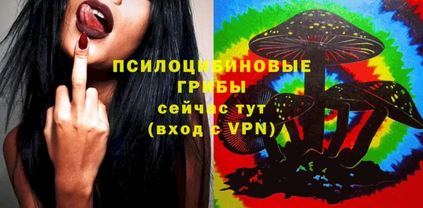дмт Алексеевка