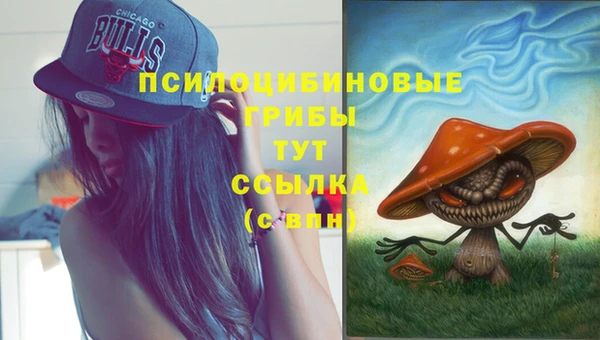 твердый Алзамай